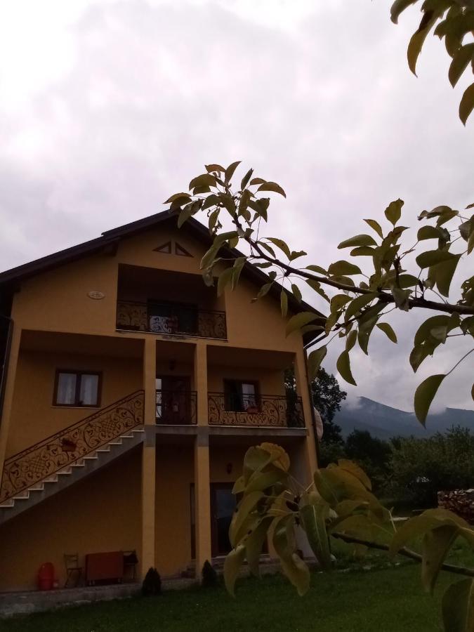 Hotel Casa Dana Borşa Exterior foto